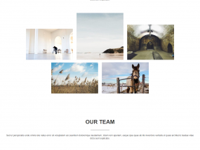 screencapture-layouts-siteorigin-layout-mono-1505404659693
